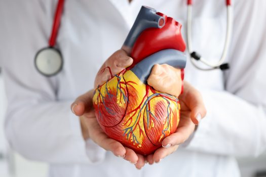 Remèdes maison pour les maladies cardiovasculaires